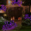 Halloween Decoration Black Hairy Light-Up1Piece 8