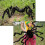 Halloween spider web with 2 large black fake spiders 16.4 ft 4