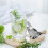 Presse-citron manuel en acier inoxydable 7