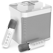 Portable Karaoke Machine with 2 Wireless Microphones