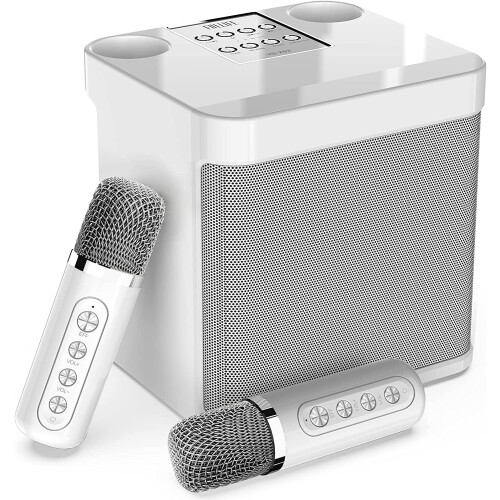 Portable Karaoke Machine with 2 Wireless Microphones