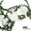 Rose Fairy String Lights LED Copper Wire Garland 110V 3