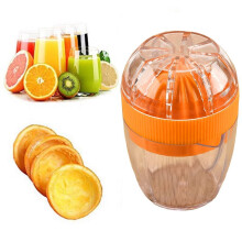 Orange Mango Mini Juicer for Fruits and Vegetables