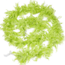Boa en plumes vert clair, 2 mètres de bordure à franges duveteuses