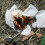 Magnesium Fire Starter Rod for Camping Survival 8