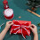 Rotes Samtband, 6,35 cm x 9,14 m, einseitig gewebtes Polyester 3