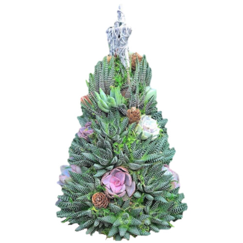 Julepynt med sukkulent tre 1