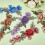 Appliques brodées pivoine, 5 couleurs, 10 pièces 5
