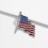American Flag Lapel Pins Silver Tone 2 Pack 3