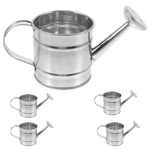 Perlite pour plantes d'intérieur (5 pièces)