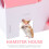 Petite cachette pour hamsters, cochons d'Inde et rats 2