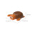 Capino Bath Toy Wind-Up Water Turtle 1 Piece 7