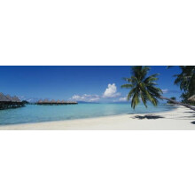 Plakat na płótnie z motywem plaży z palmami Bora Bora Tahiti