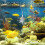 USB oxygenation pump for aquarium bait tank 1 unit 4
