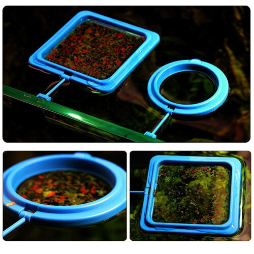 Aquarium fish feeding station floating circle design 1