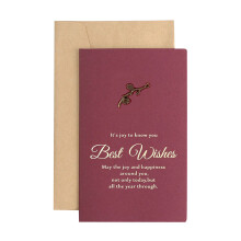Ensemble de cartes de vœux de Noël avec enveloppes et pages intérieures