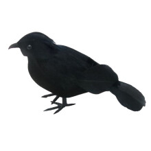 Fankiwayn realistinen musta variskoristeena halloweeniksi