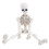 Modello di scheletro di Halloween a figura intera, mini figura 1