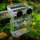 Aquarium Breeder Box Acrylic Divider for Small Fish and 7