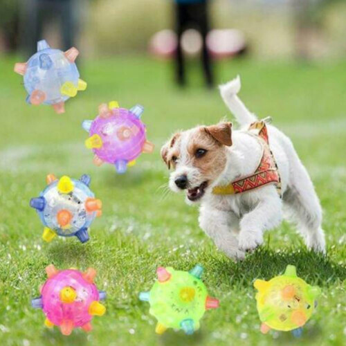 LED Jumping Ball Dog Toy 1 Pack 2