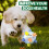 LED Jumping Ball Dog Toy 1 Pack 5