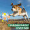 LED Jumping Ball Dog Toy 1 Pack 6