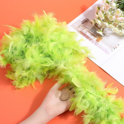 Boa en plumes vert clair, 2 mètres de bordure à franges duveteuses 2