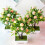 Bonsai artificial com morangos de espuma (1 unidade) 6