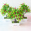 Bonsai artificial com morangos de espuma (1 unidade) 3