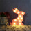 Lampe lapin LED décorative en plastique pour chambre 7
