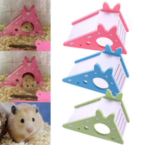 Cage-villa avec échelle pour hamster, cochon d'Inde ou rat 1