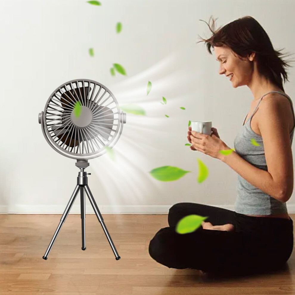 Portable Desk Fan With Rechargeable Battery Led Light Usb 301029657238
