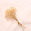 Αποξηραμένα άνθη βαμβακιού Baby's Breath Natural Decor 10g 1