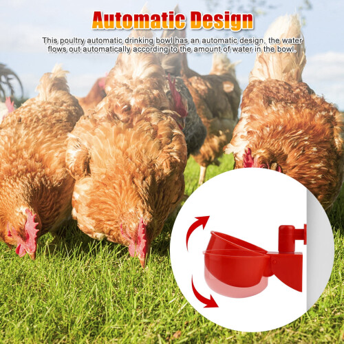 Bebedouro automático para galinhas (pacote com 12) 1