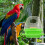 Gabhálais Beathúcháin Cage Éan Crochta Parrot ABS2pcs 5