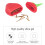 Machine à sachets de thé à la fraise Zeceouar avec passoire 4
