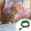 Boho-Schneeflocken-Glöckchenarmband mit Reisperlen 1