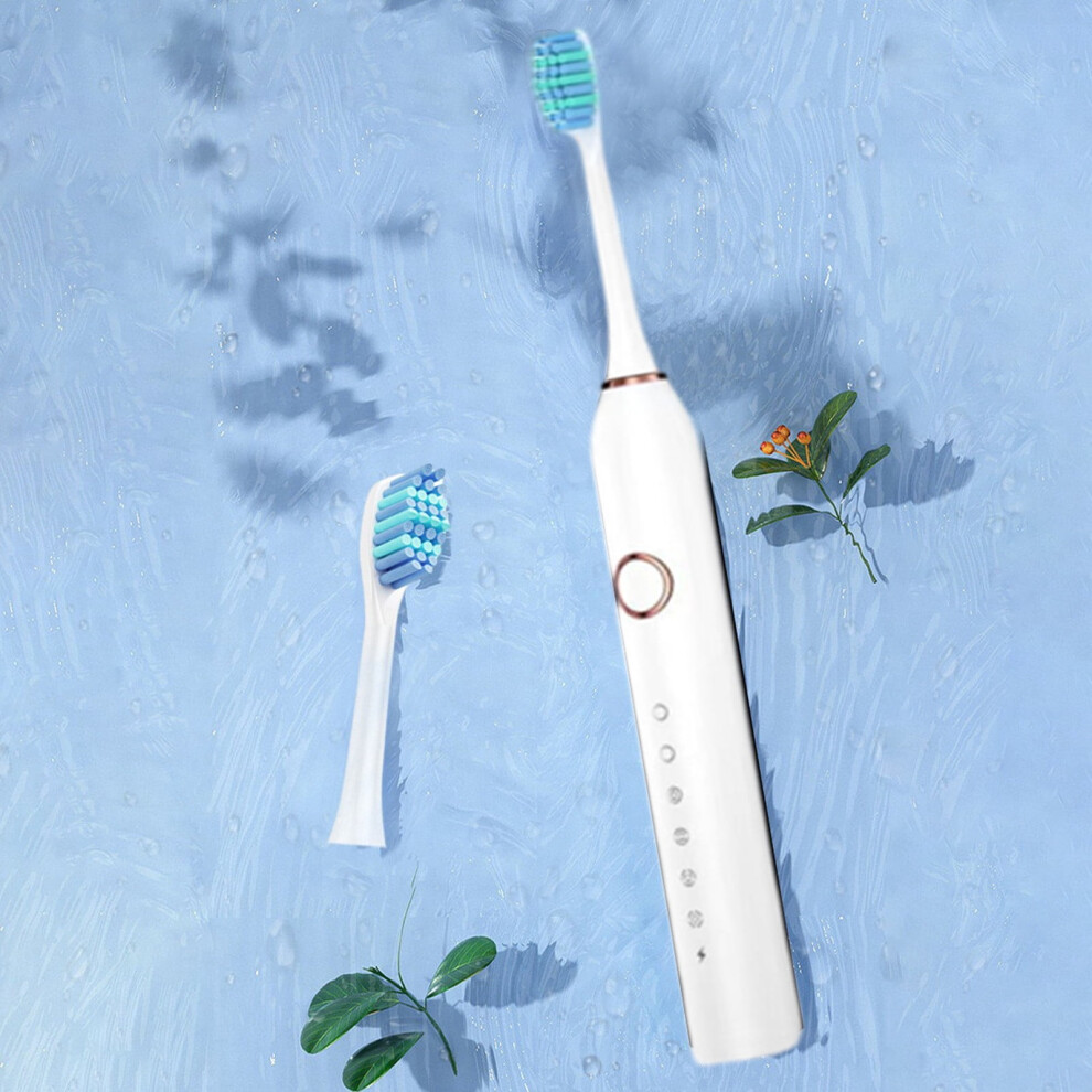 YANHAIGONG Electric Toothbrush with 4 Heads 6 Modes 30000