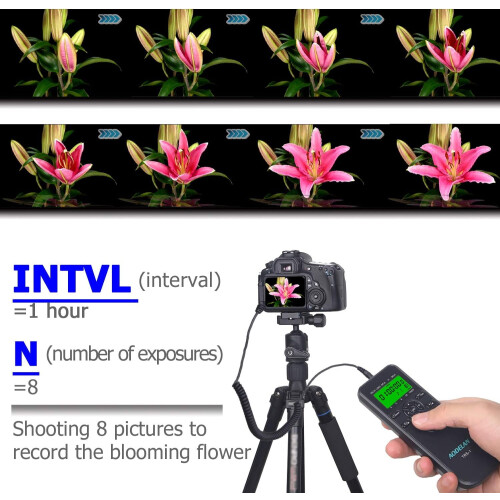 Timer per lo scatto a intervalli per Canon e Olympus 2