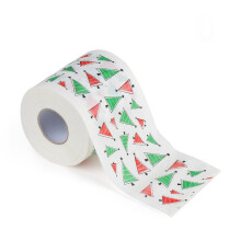 Vánoční dekorace z toaletního papíru Santa Claus