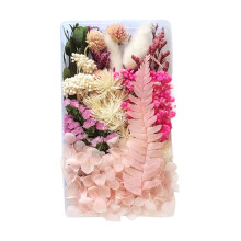 Ympuoqn tørkede blomster håndverkssett for DIY evige blomster