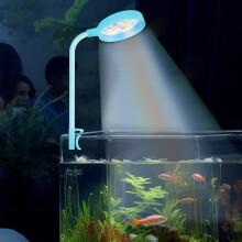 LED dekoratív világítás hálószobába és akváriumba 12V