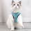 Cat Harness with Leash for Small Breeds Breathable Mesh 1