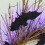 Halloween-krans sort kvist med glitterflagermus 43 cm 6