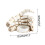 Halloween skelet hand kaarsenhouder van hars (1 stuk) 2