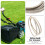 Drivrem til gressklipper Para-aramidfiber 1-pakning 6