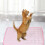 Self-Cooling Pet Mat Ice Silk Large Washable 2