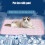 Self-Cooling Pet Mat Ice Silk Large Washable 4
