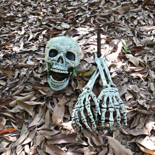 Decorațiuni de Halloween pentru curte cu cranii, brațe de schelet realiste 2
