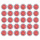 Vankin hummingbird feeder replacement flowers 30-pack 2